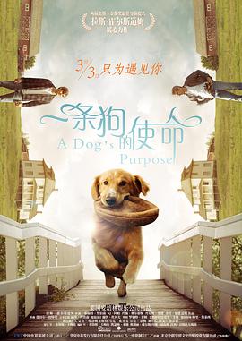 手机看片日韩在线